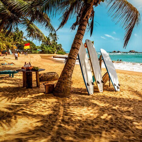 Golden beach with palm trees and blue ocean in Mirissa