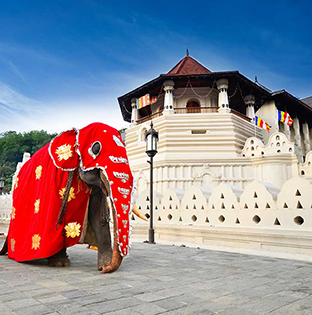 Temple of the Sacred Tooth Relic in Kandy, Sri Lanka, beside Kandy Lake, an important Buddhist temple and UNESCO World Heritage Site.